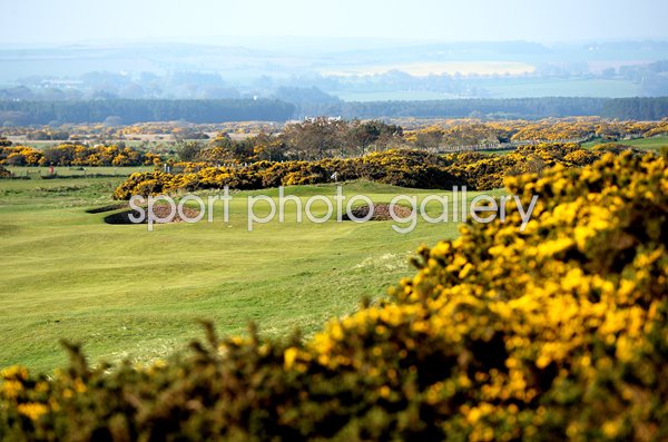 Par 4 4th Montrose Medal Course Montrose Golf Links
