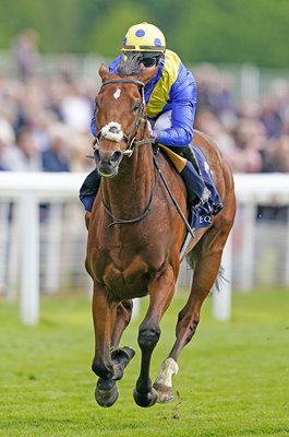 Richard Kingscote riding Desert Crown win Dante Stakes York 2022