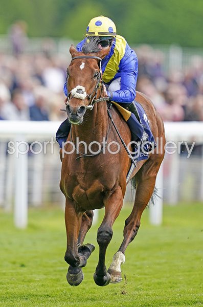 Richard Kingscote riding Desert Crown win Dante Stakes York 2022