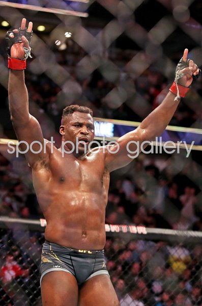 Francis Ngannou Cameroon celebrates v Ciryl Gane France Anaheim 2022