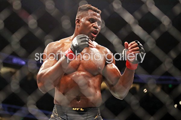Francis Ngannou Cameroon v Ciryl Gane France UFC 270 Anaheim 2022