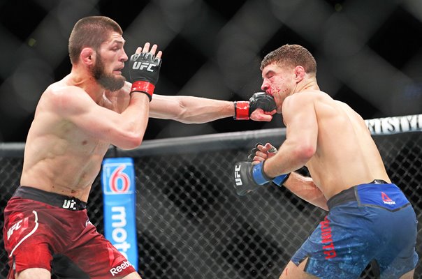 Khabib Nurmagomedov punches Al Iaquinta UFC 223 New York 2018