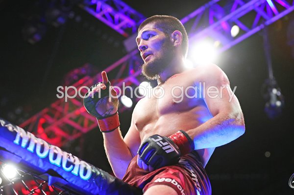 Khabib Nurmagomedov celebrates v Al Iaquinta UFC 223 New York 2018