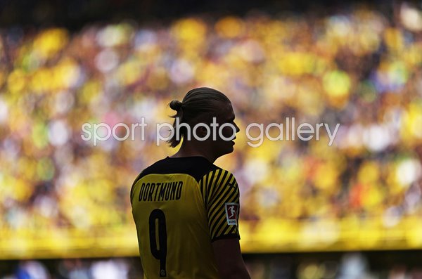 Erling Haaland Borussia Dortmund Silhouette Bundesliga 2022