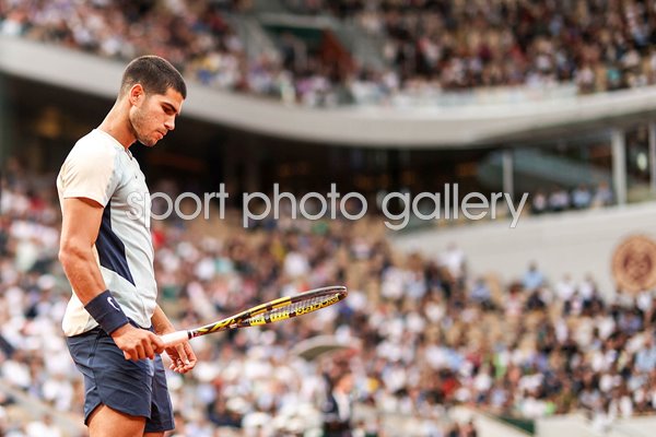 Carlos Alcaraz Spain Focus French Open Paris 2022