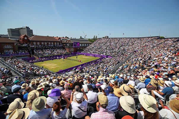 Matteo Berrettini Italy Final Queen's Club London 2022