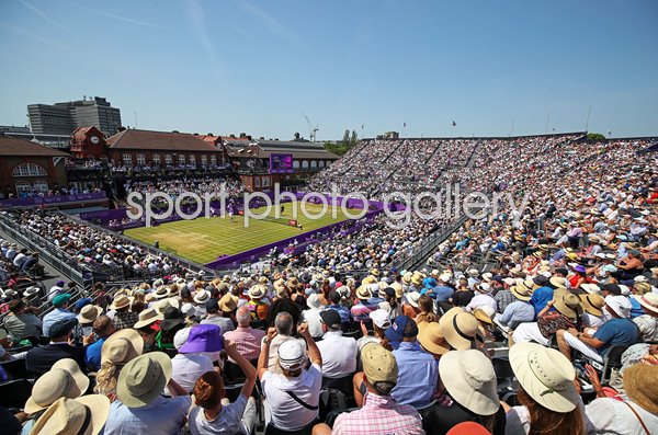 Matteo Berrettini Italy Final Queen's Club London 2022
