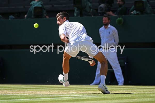 Novak Djokovic trick shot Centre Court Wimbledon Semi Final 2022