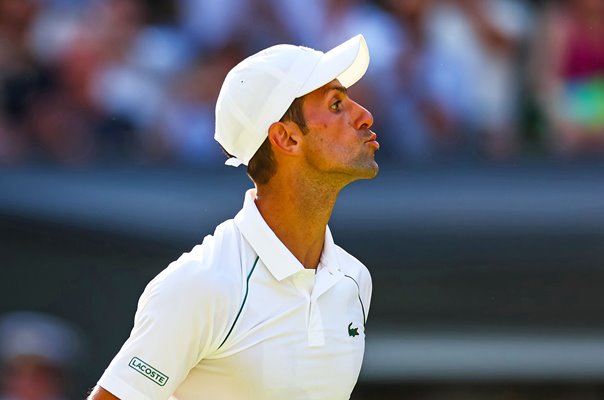 Novak Djokovic celebrates win Semi Final Wimbledon 2022