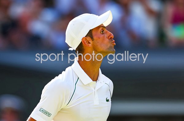 Novak Djokovic celebrates win Semi Final Wimbledon 2022