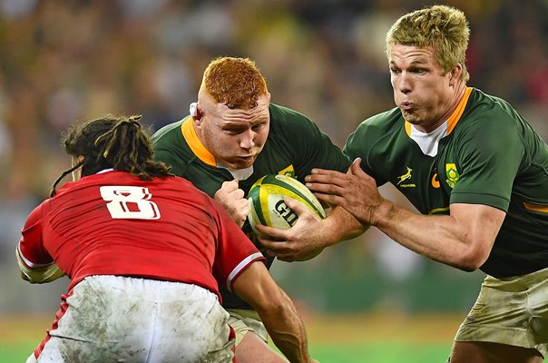 Steven Kitshoff South Africa v Wales Test Rugby Cape Town 2022