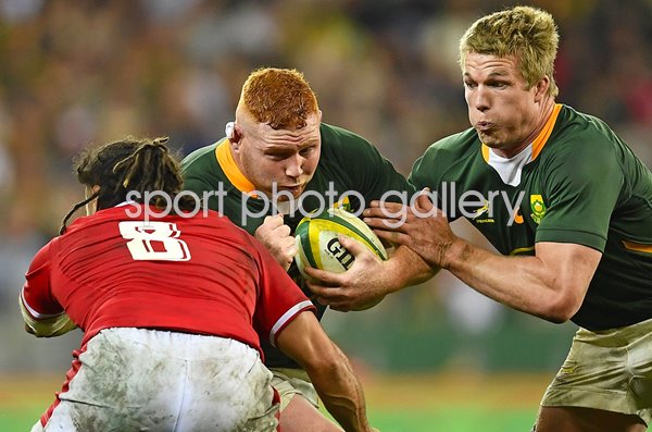 Steven Kitshoff South Africa v Wales Test Rugby Cape Town 2022