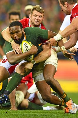 Lukhanyo Am South Africa v Wales Cape Town 2022