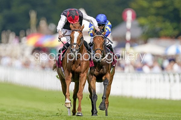 Ryan Moore riding Kyprios wins Goodwood Cup 2022