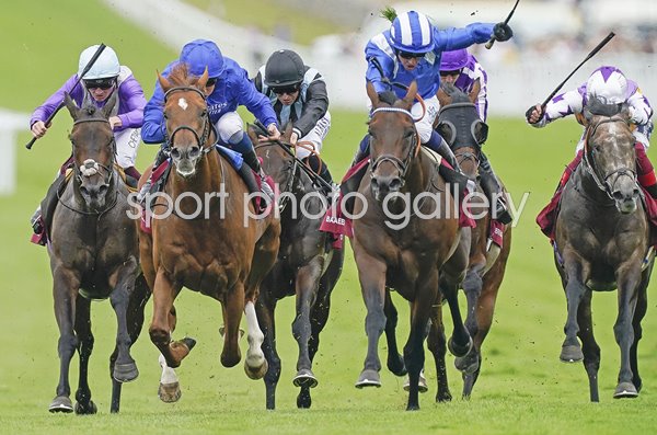 Jim Crowley riding Baaeed win The Qatar Sussex Stakes Goodwood 2022