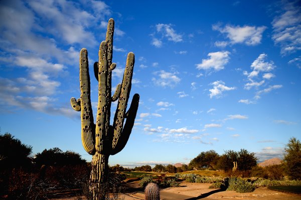 Gray Hawk Golf Club, Scottsdale, Arizona, USA