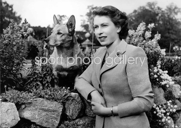 Queen Elizabeth II & Corgi Balmoral Castle 1952