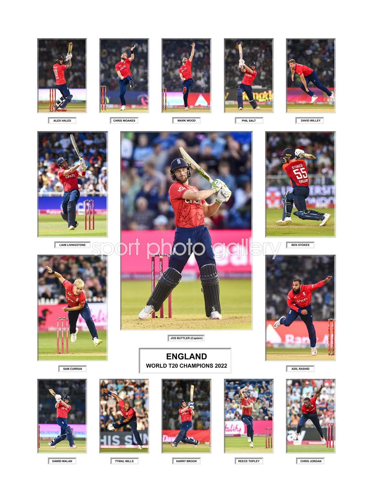 England World T20 Champions Team Special