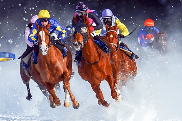  White Turf Horse Racing St. Moritz 2013