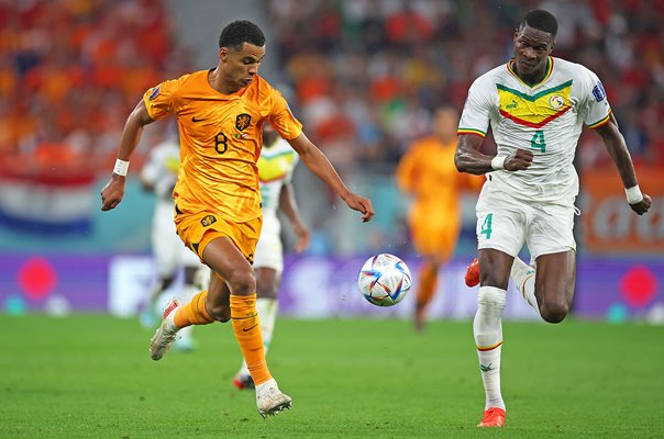 Cody Gakpo Netherlands v Senegal Group A World Cup 2022