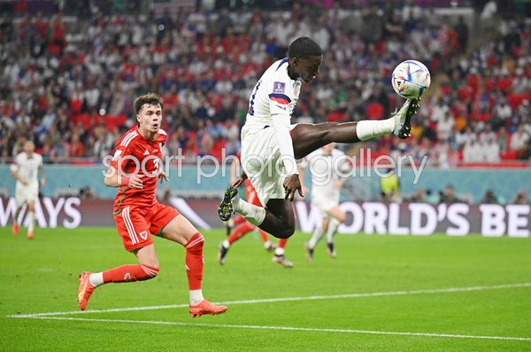 Timothy Weah Usa V Wales Group B World Cup Qatar 2022 Images Football Timothy Weah Usa V Wales Group B World Cup Qatar 2022 Images Football