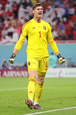 Thibaut Courtois Belgium penalty save v Canada World Cup 2022
