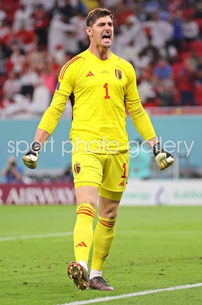 Thibaut Courtois Belgium penalty save v Canada World Cup 2022