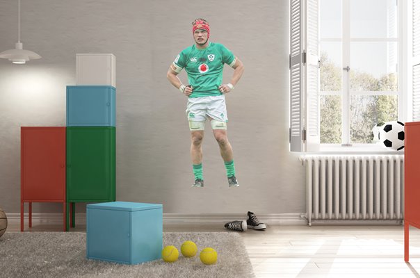 Josh Van Der Flier Ireland V France Six Nations Dublin 2023 Wall Sticker