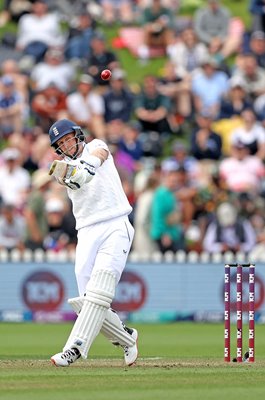 Joe Root England v New Zealand Basin Reserve Wellington 2023