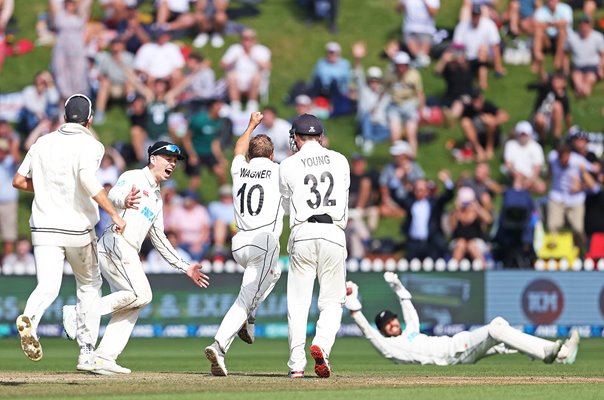 Neil Wagner New Zealand celebrates James Anderson wicket Wellington 2023
