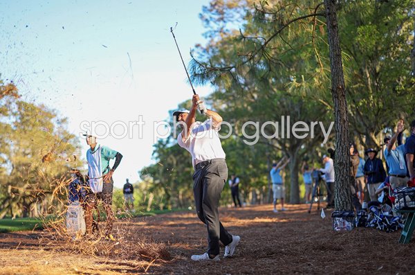 Scottie Scheffler USA 15th hole The Players TPC Sawgrass Florida 2023
