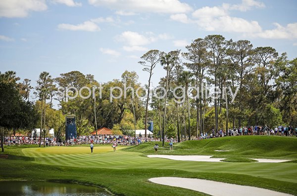 5th Green TPC Sawgrass Players Championship Ponte Vedra Florida 2023