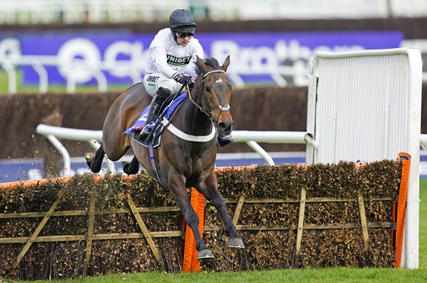 Nico de Boinville rides Constitution Hill to win Supreme Hurdle Cheltenham 2022