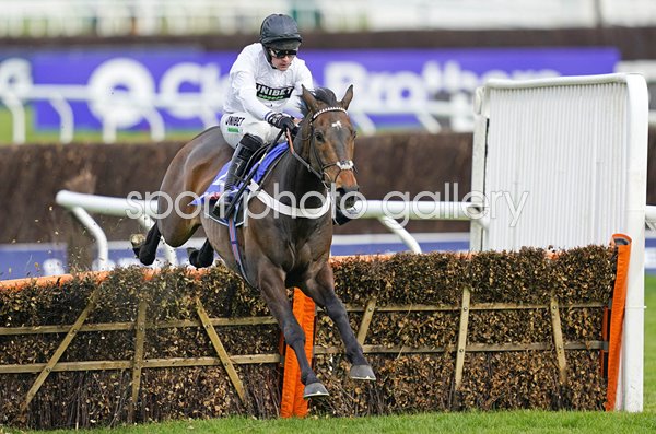 Nico de Boinville rides Constitution Hill to win Supreme Hurdle Cheltenham 2022