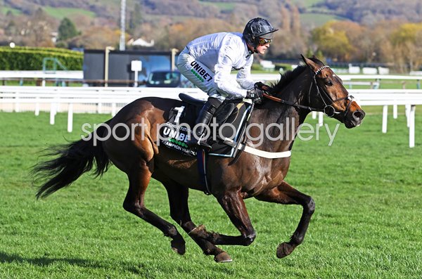 Constitution Hill wins Champion Hurdle Cheltenham Festival 2023