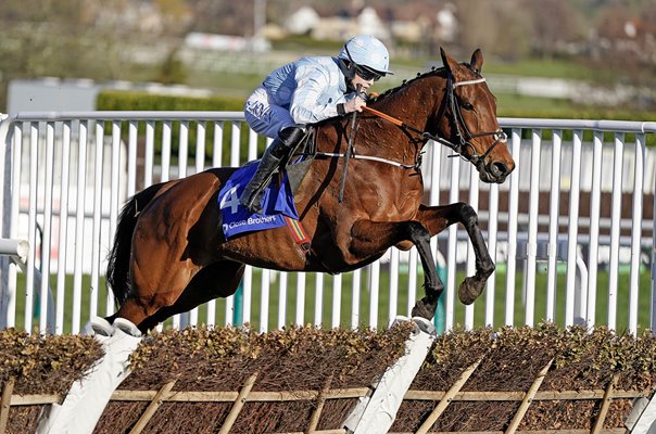 Rachael Blackmore riding Honeysuckle Mares Hurdle Cheltenham 2023 