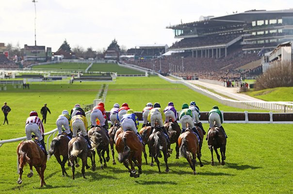 Race horses and jockeys on the course Cheltenham Festival 2023 