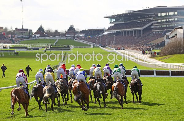 Race horses and jockeys on the course Cheltenham Festival 2023 