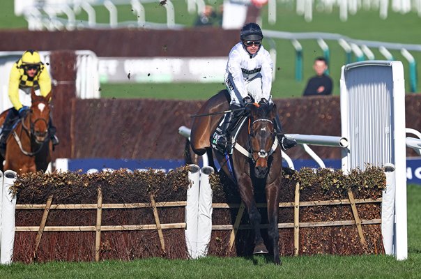 Constitution Hill ridden by Nico de Boinville Champion Hurdle Cheltenham 2023 