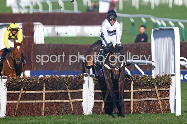 Constitution Hill ridden by Nico de Boinville Champion Hurdle Cheltenham 2023 