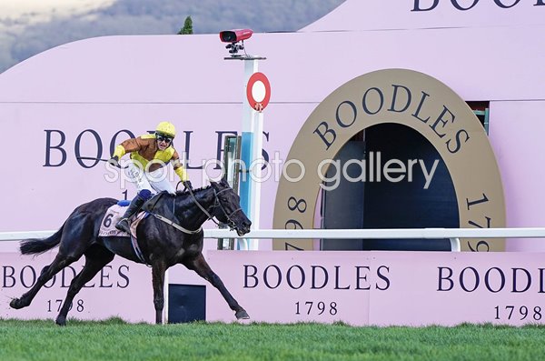 Paul Townend rides Galopin Des Champs Cheltenham Gold Cup 2023