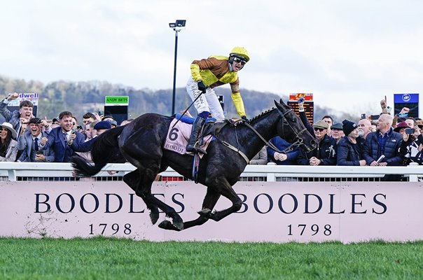 Paul Townend celebrates Galopin Des Champs win Cheltenham Gold Cup 2023