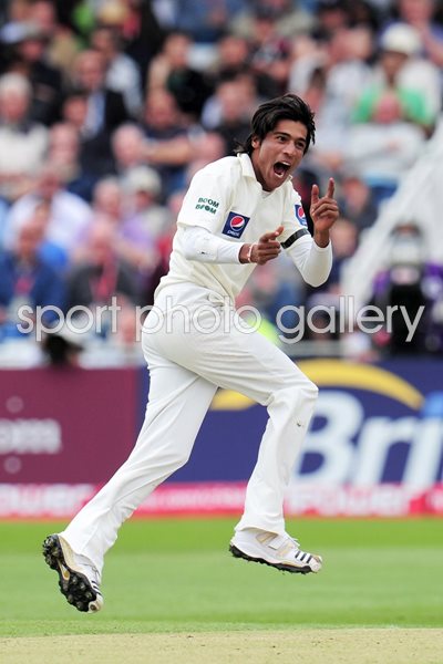 Mohammad Aamer celebrates Strauss wicket
