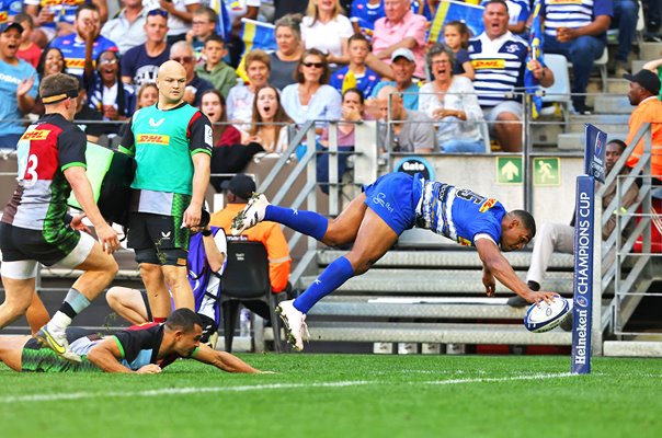 Damian Willemse Stormers diving try v Harlequins Champions Cup Cape Town 2023