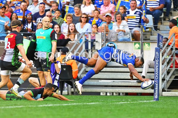 Damian Willemse Stormers diving try v Harlequins Champions Cup Cape Town 2023