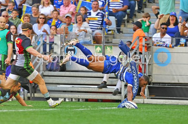 Damian Willemse Stormers scores v Harlequins Champions Cup Cape Town 2023