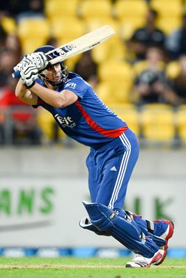 Alex Hales New Zealand v England 2013
