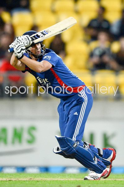 Alex Hales New Zealand v England 2013