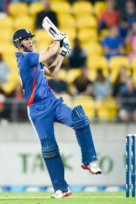 Alex Hales New Zealand v England 2013