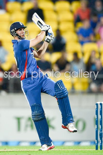 Alex Hales New Zealand v England 2013